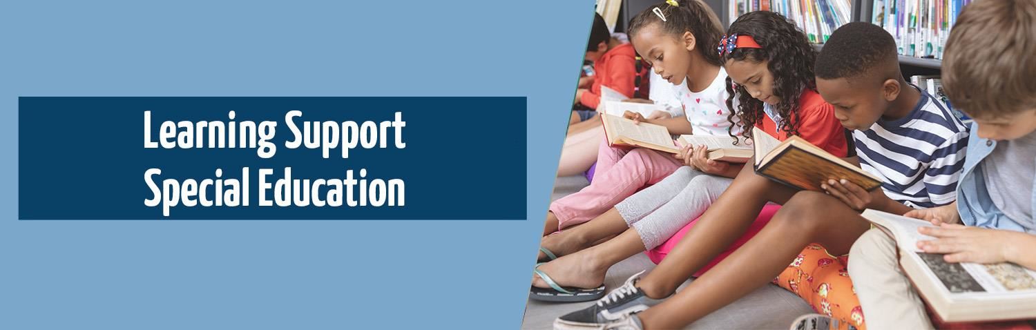 Learning support